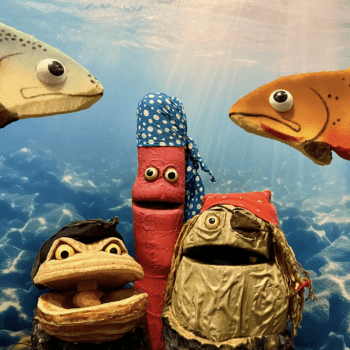 Fish Wish You’d Swish